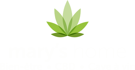 Logo Mary's Home